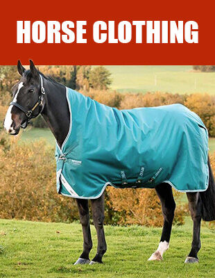Horse Clothing